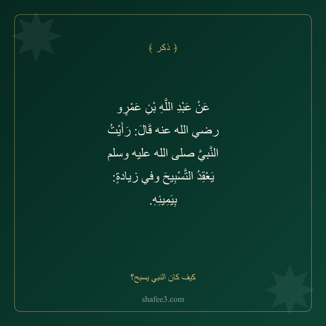 بطاقة ذكر — كيف كان النبي يسبح؟